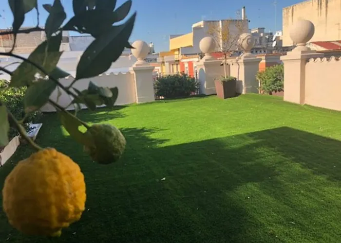 200 & Terrace Frühstückspension Bari