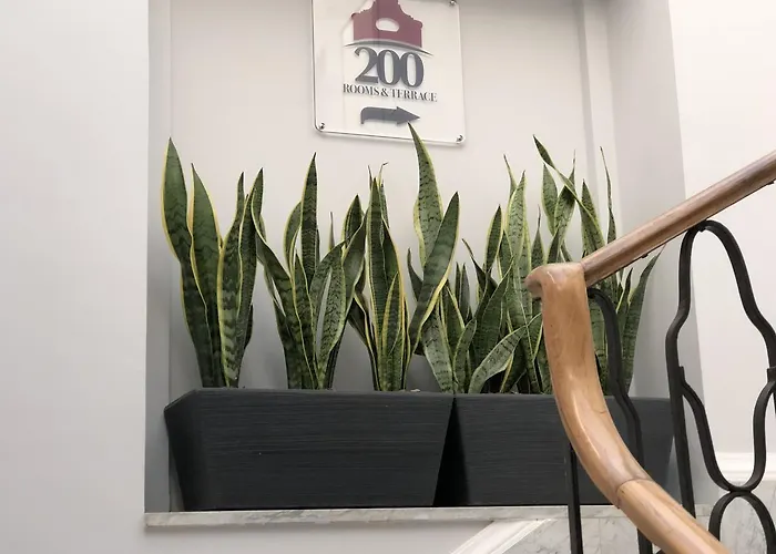 200 & Terrace Frühstückspension