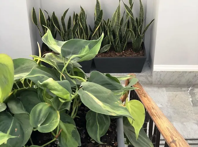 Frühstückspension 200 & Terrace 3*