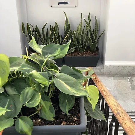 Bed & Breakfast 200 & Terrace 4*